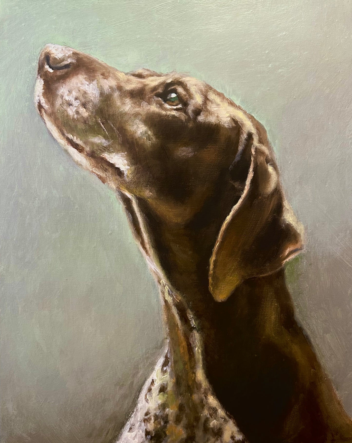 Custom Pet Portrait | Hand-Painted Oil on Canvas